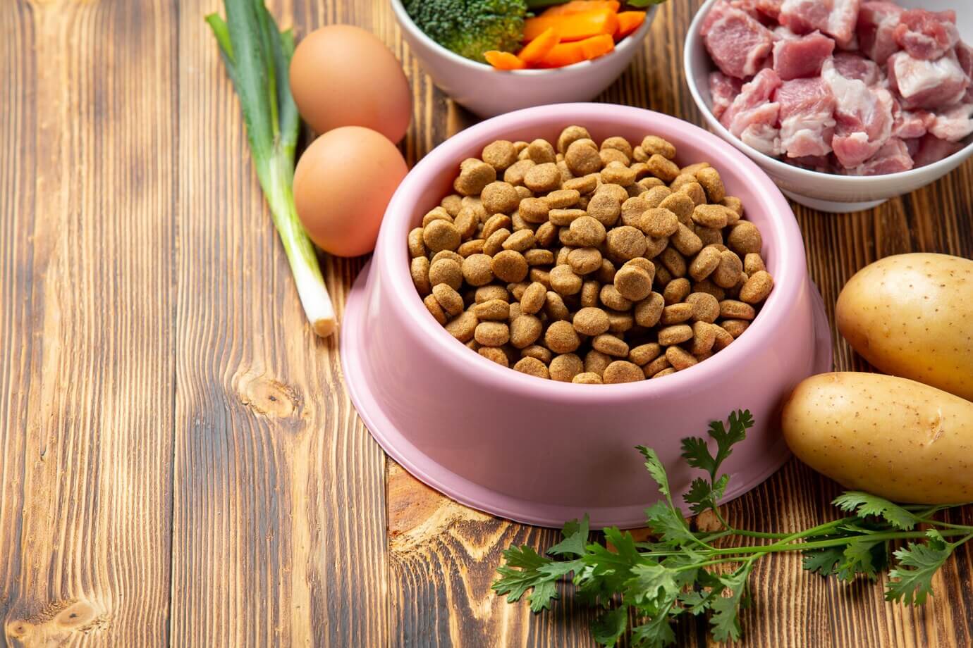 Types of Cat Food